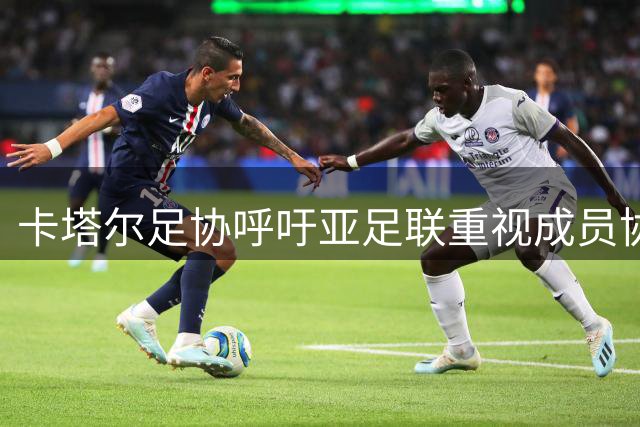 卡塔尔足协呼吁亚足联重视成员协会意见表达