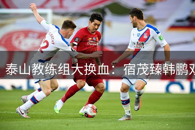 泰山教练组大换血：宿茂臻韩鹏双双离职，唐田临危受命
