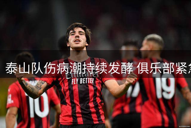 泰山队伤病潮持续发酵 俱乐部紧急引进外籍康复团队救火